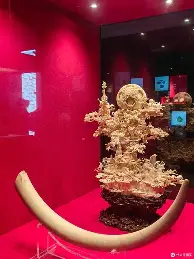 登录首页-广东宏远冲刺阶段迎来里程碑集结日斯图加特调整名单以备NBA常规赛，现场解说直呼：西亚卡姆与50激战快船分钟的简单介绍